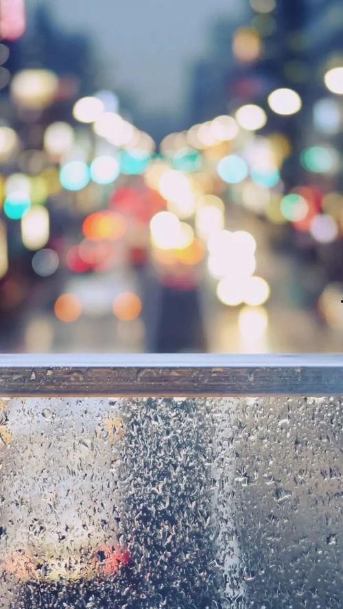 下雨天安静的吃瓜视频,一起享受吃瓜的悠闲时刻