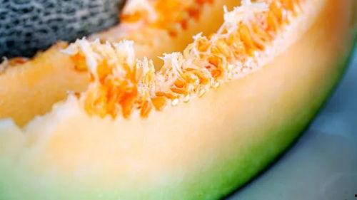 夏天清凉吃瓜视频,清凉吃瓜视频大揭秘