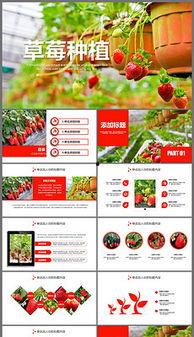 吃瓜宣传视频素材下载安装