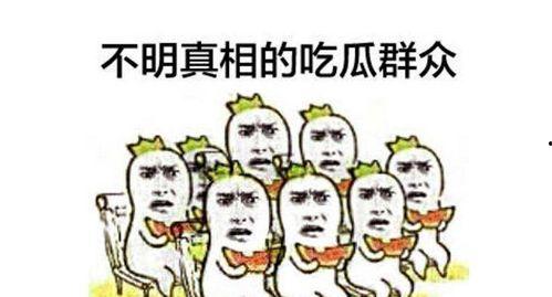 吃瓜群众接龙视频大全集,笑料百出，欢乐无限